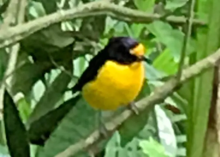 Pousada das GêmeasPousada